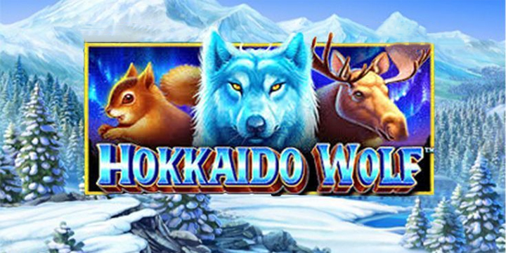 Hokkaido Wolf: Petualangan Dingin Menuju Maxwin!